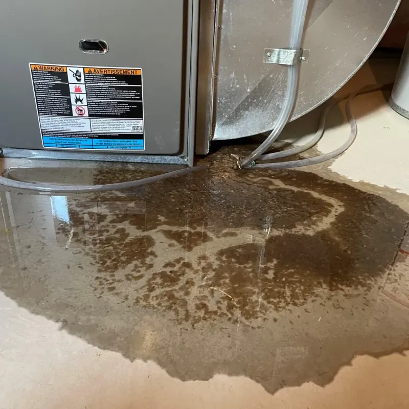 Appliance Leak Cleanup in Honolulu, HI